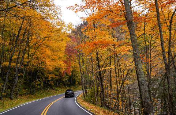 Fall driving smokies