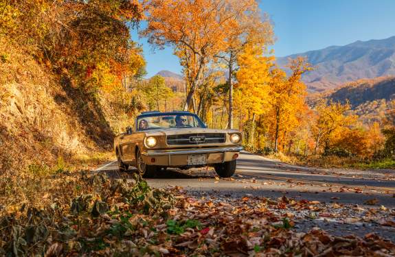 Gatlinburg Recognized as “Best Place to Visit for Fall” (2024) by USA Today