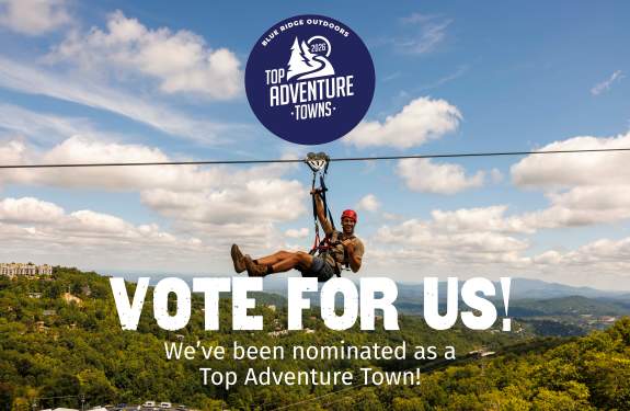 vote for gatlinburg