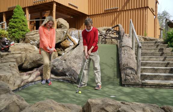 Attractions Association of Gatlinburg