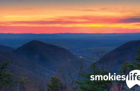 Smokies Life