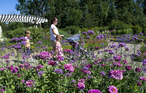 10 Free Family Fun Activities in the Ann Arbor Area