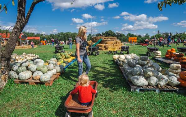 How To Spend Fall In Elizabethtown