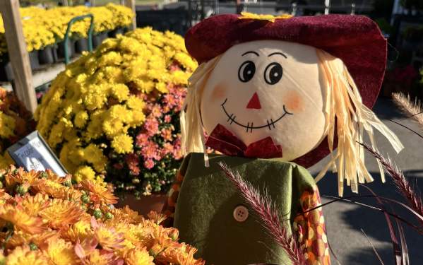 Fall in Elizabethtown