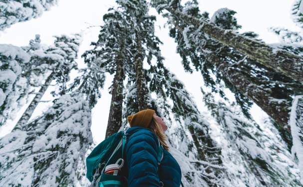 Woman snowshoeing looks up at snow covered trees