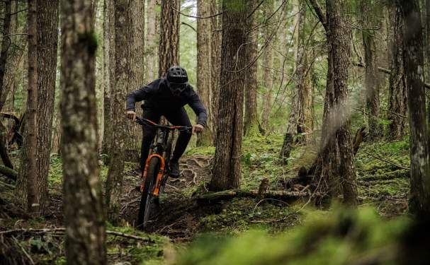 A mountain biker rides down a trail surrounded by trees and greenery.