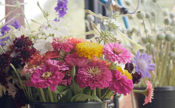 A bucket full of colourful flowers.