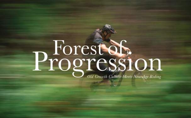 Forest of Progression