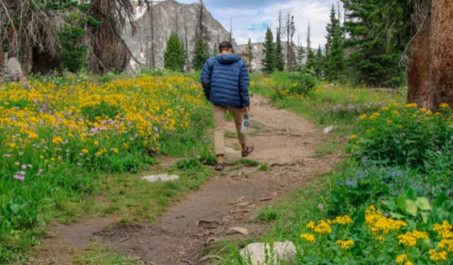 2024 Wyoming Economic Impact of Travel Results Have Arrived: Visitor Spending Increases Another Year