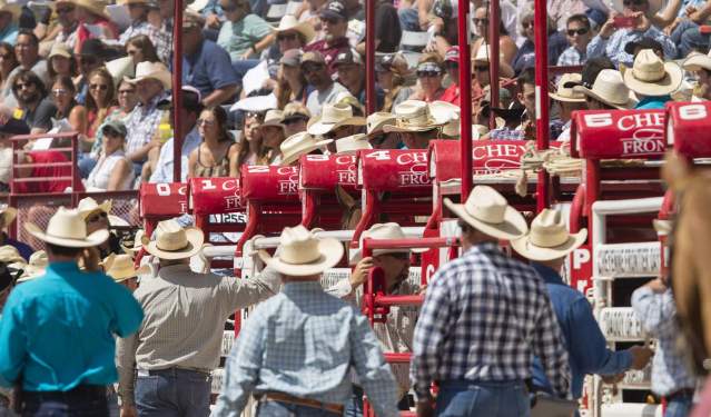 4 Things You Might Not Know About Rodeo