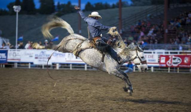 Cowboy up this Summer with these Can't-Miss Wyoming Rodeosww