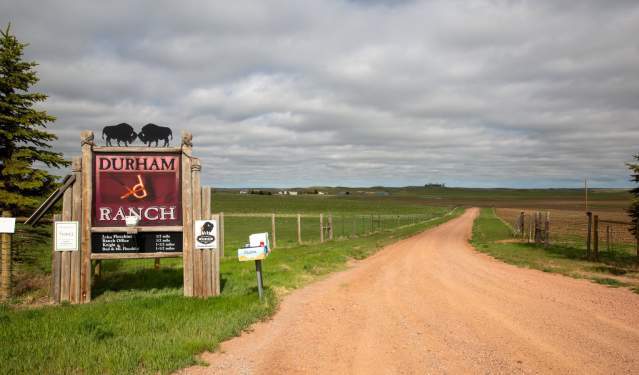 Family-Friendly Road Trip Ideas in the Black to Yellow Regions