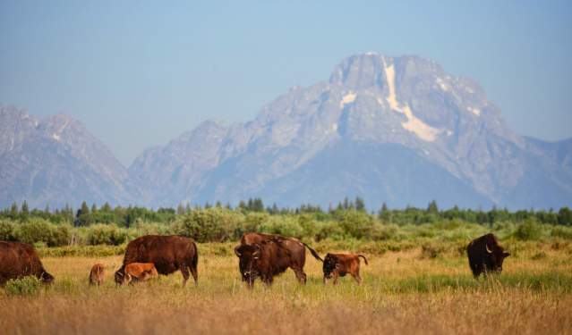 Three Spring Itineraries You Don’t Want to Skip in Wyoming