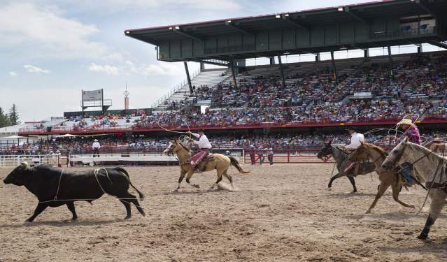 Saddle Up: The Official Guide to Rodeo Events in the Cowboy State