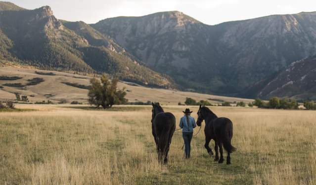 Top 12 Things to Do in Sheridan
