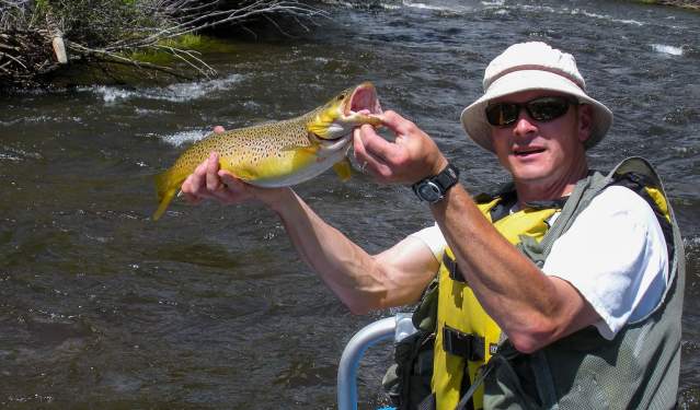 Best Times to Fish the North Platte River from Saratoga