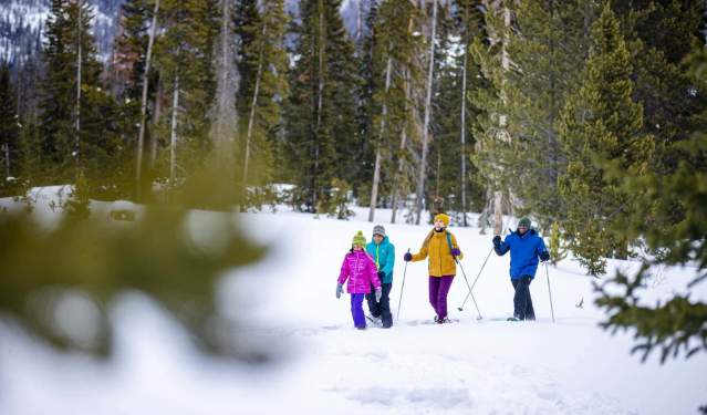 Come Out, Chill Out: Wyoming Winter & What to Know