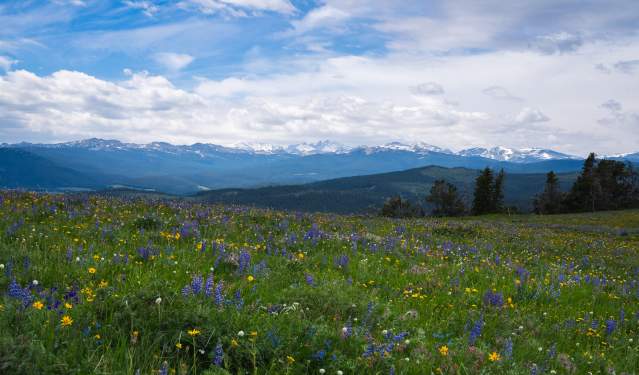 The Ultimate Joe Pickett Road Trip Through Wyoming