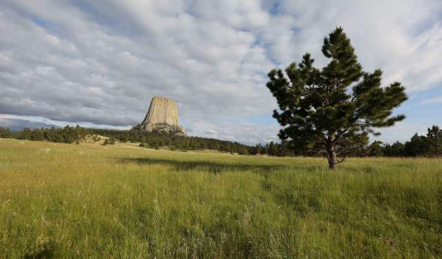 Top 12 Things to Do in Devils Tower National Monument