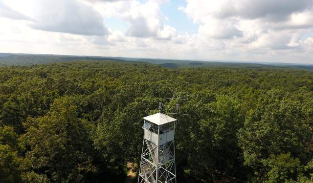 Historic Fire Tower Tour & Guided Hike