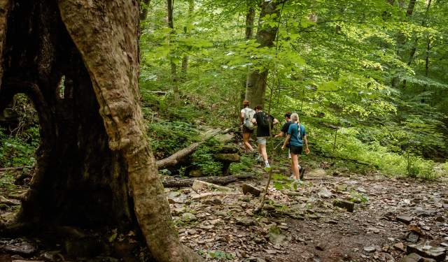 Third Sunday Nature Hike
