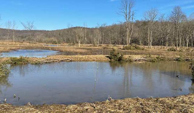 Trail Discovery Hike & Tour: Bean House