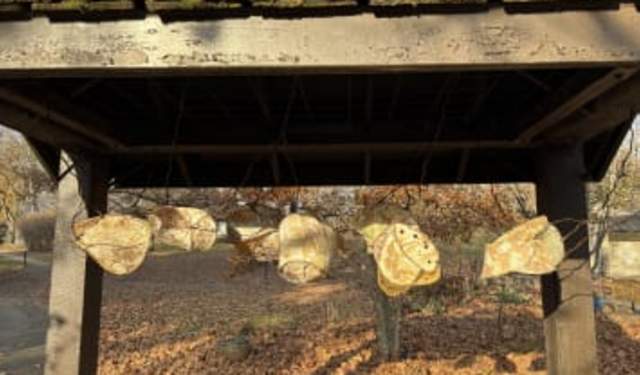 Arts in Nature: Health/Care Network