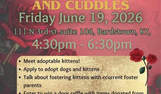 A Court of Cats & Cuddles