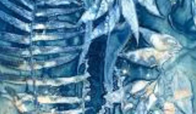 Nature (+) Cyanotype with 2026 Regional Artist in Residence, Marilee Salvator