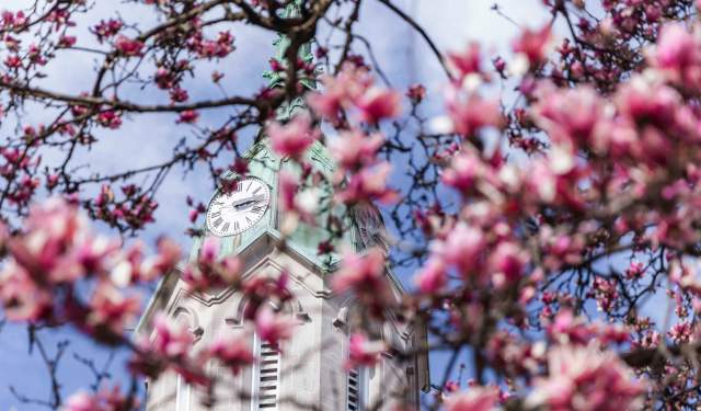 Sacred Pause: A Day of Rest & Renewal