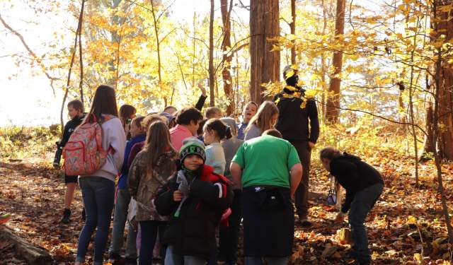 Fall Break Nature Day Camp