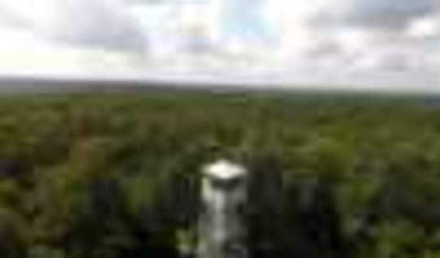 Guided Fire Tower Tour & Hike