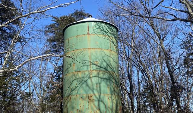 Midweek Nature Stroll