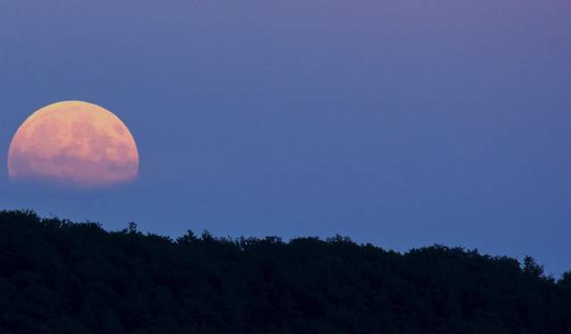 Full "Strawberry" Moon Night Hike