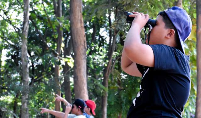 Birding Beyond Binoculars