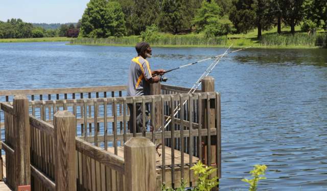 Family Fishing Days