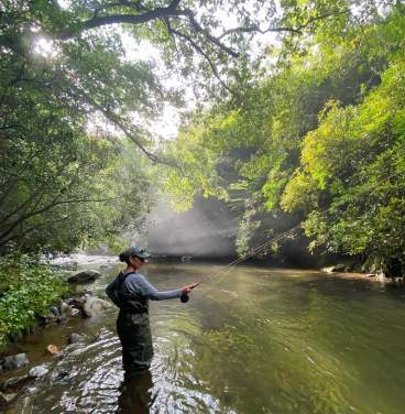 Straight Fork Watershed - Fly Fishing Smoky Mountains