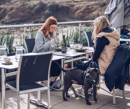Two women eating outside at a restaurant with their dogs