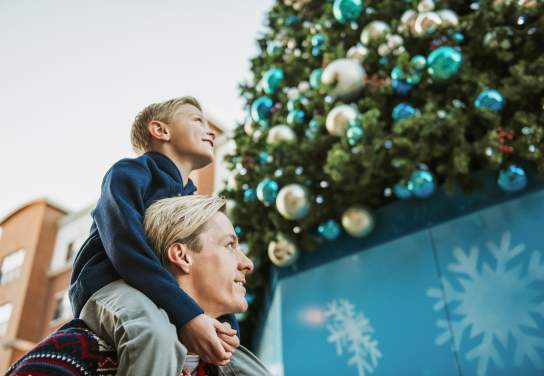 America’s Christmas Tree Trail Game