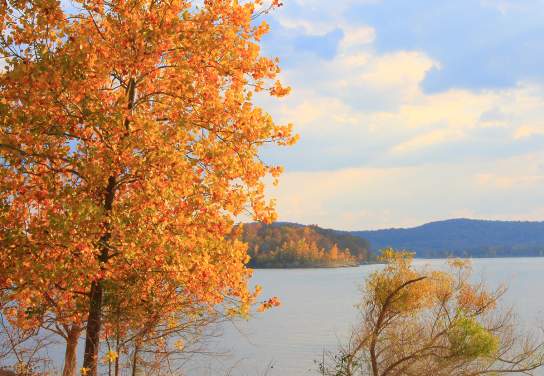 Fall Foliage Driving Tour #1 - Table Rock Lake, Kimberling City