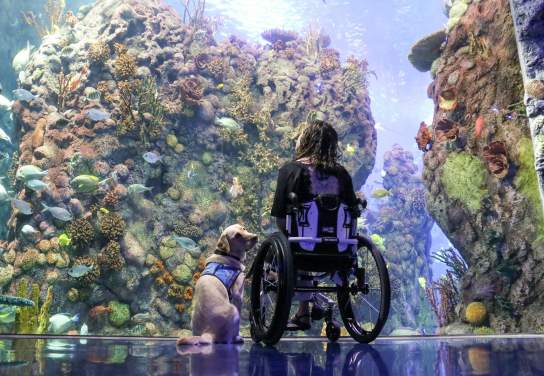 Going the Extra Mile: A Guide to Accessibility in Branson 