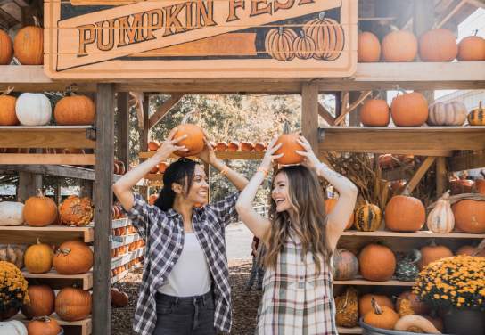 Five Free Fall Activities in Branson 