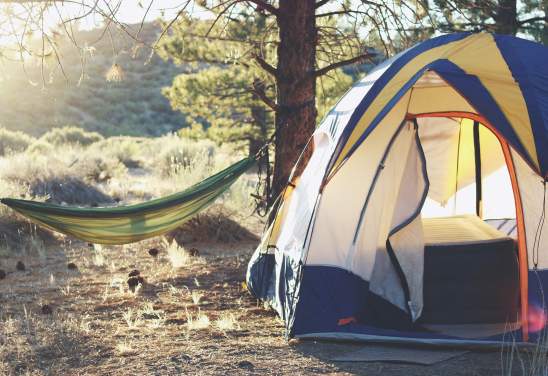 Camping - Tent and Hammock - Stock