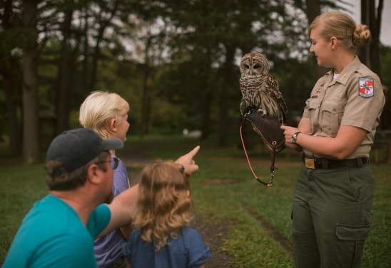 Rocky-Gap-State-Park-Aviary Owl