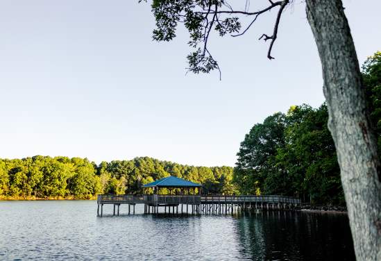 Reasons to Love Cornelius