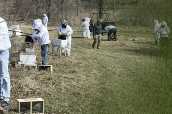 Farley Center Beekeeper Experience