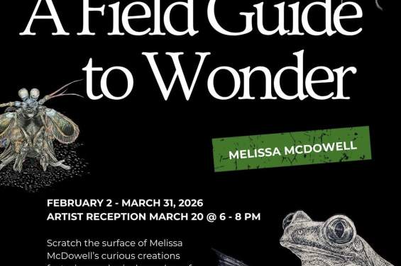 A Field Guide to Wonder