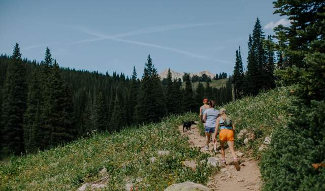 Summer Hiking in Big Sky: 5 Must-Visit Trails
