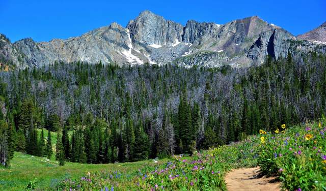 7 Best Hikes In Big Sky, Montana
