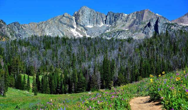 7 Hikes In Big Sky, Montana